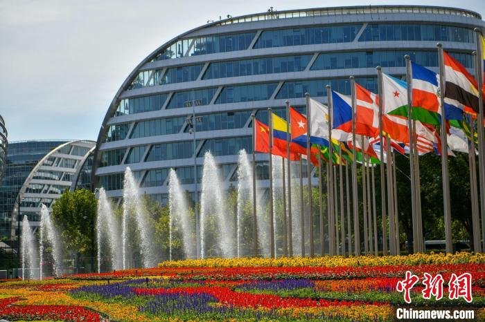 第五屆進(jìn)博會(huì)場(chǎng)館景觀裝飾全面定妝。　陳夢(mèng)澤 攝