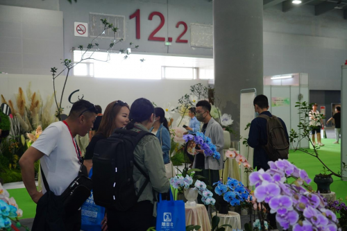 2024花城“新秀花事”亮點(diǎn)搶先看！和廣州國(guó)際花藝節(jié)一起解鎖“花經(jīng)濟(jì)”財(cái)富密碼(圖4)