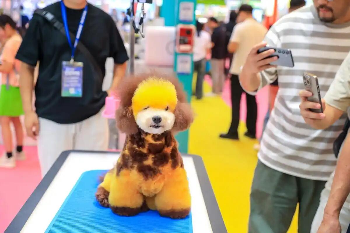 1761891711397873.jpg 5.jpg