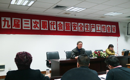 劉潭服裝九屆三次職代會暨安全生產(chǎn)工作會議