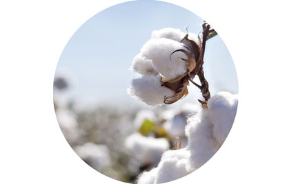 劉潭服裝廠(chǎng)：新生兒衣服選哪種材質(zhì)好？