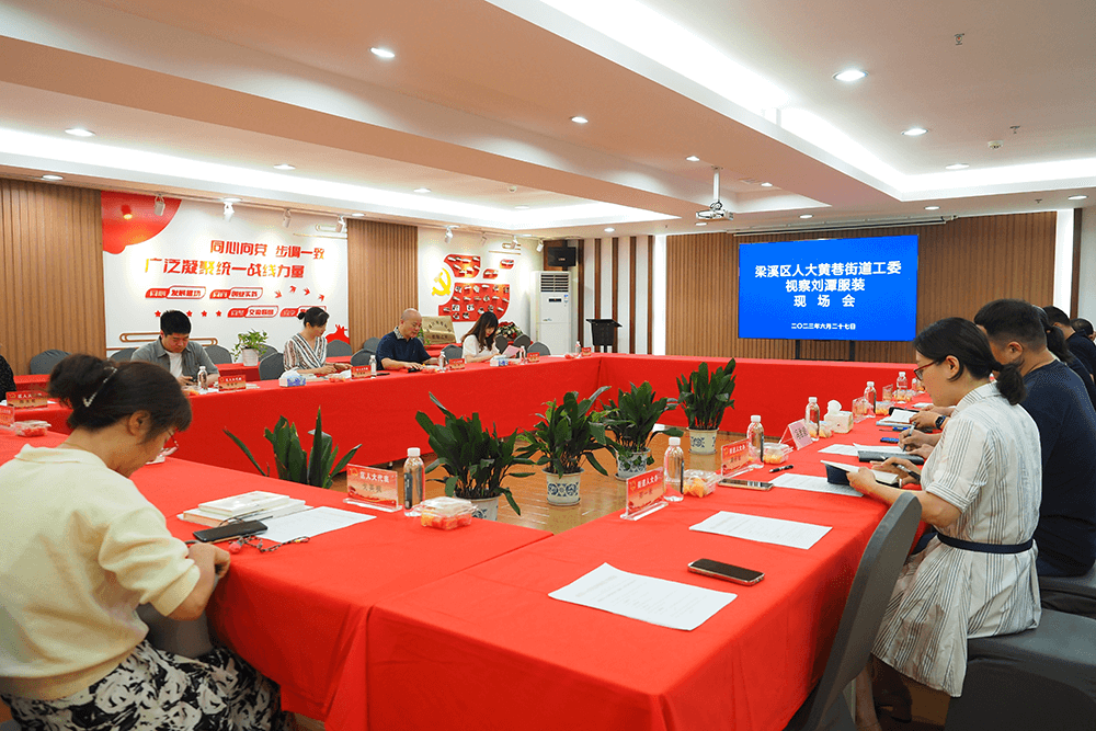 區(qū)人大代表到劉潭服裝開(kāi)展工作視察