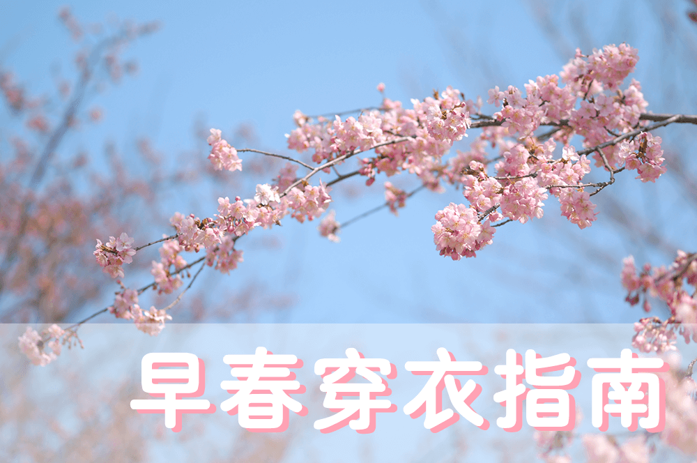 劉潭服裝溫馨提醒